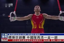 包含体操夜战：关东银狐队逆转姑苏猎隼队，主帅临场妙招豪门底蕴再次显现的词条